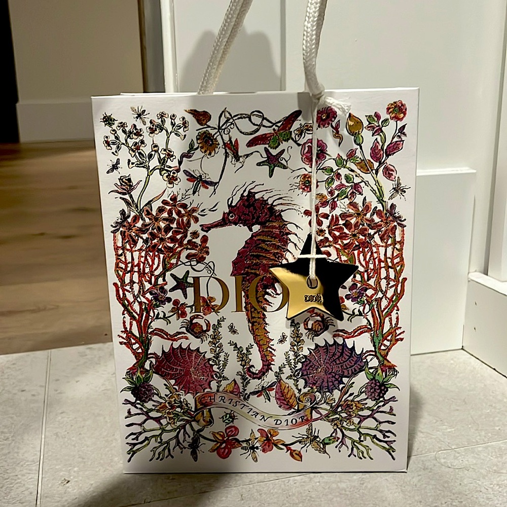 Authentic Dior 2024 holiday shopping bag